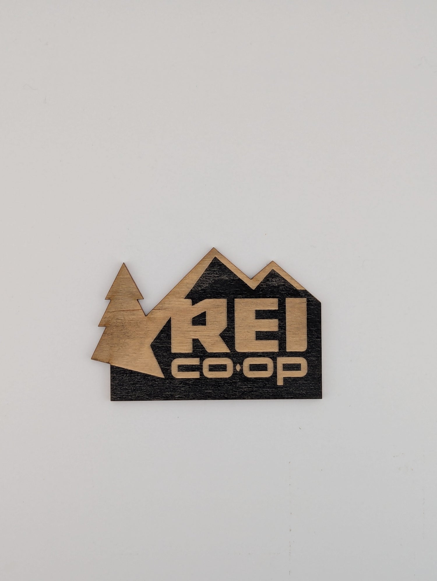 REI Pitch